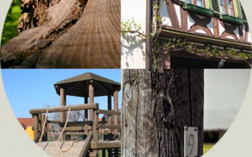 IML -Wood Testing image 2 Home.jpg